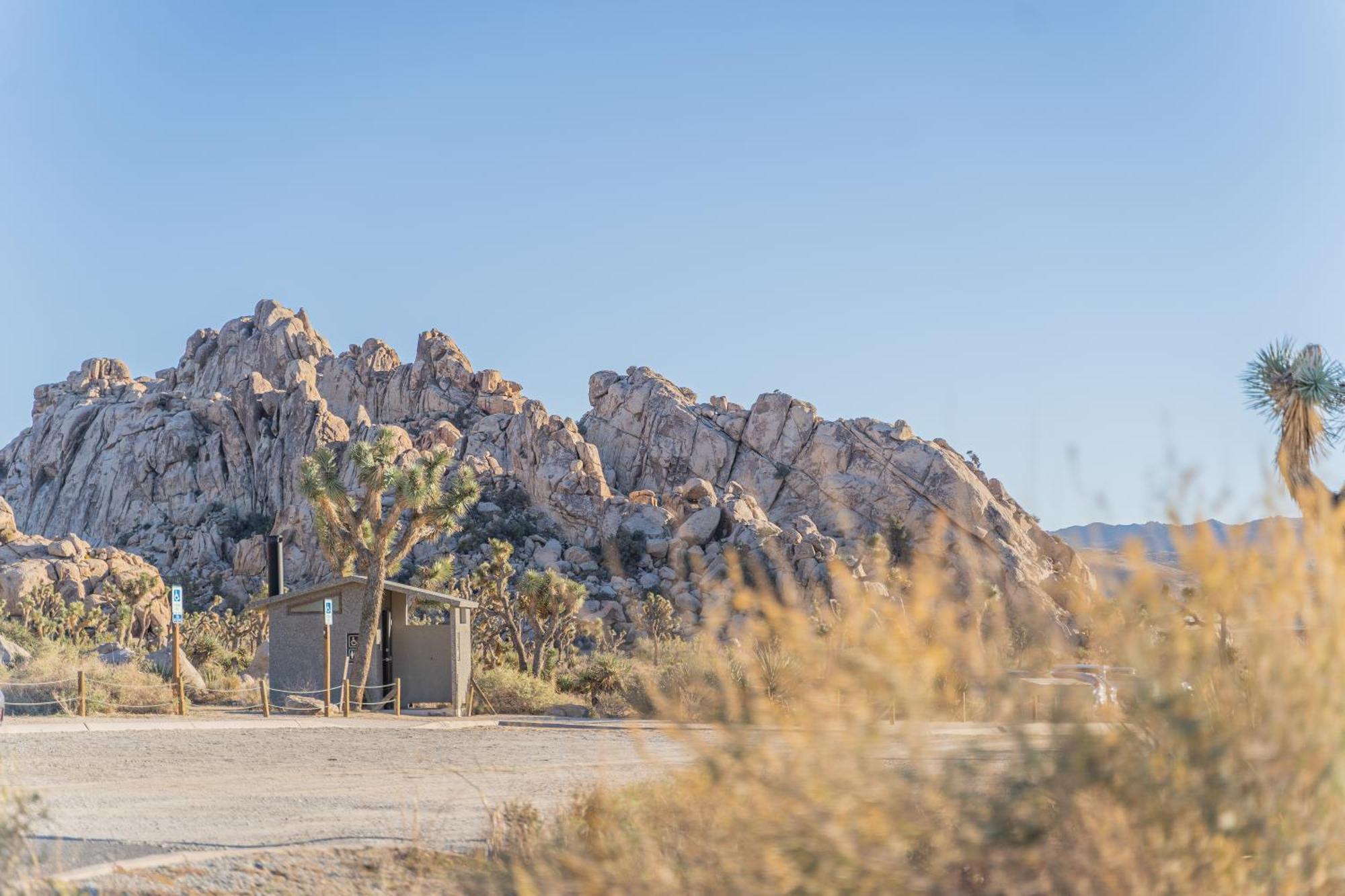 New Property! The Cactus Villas At Joshua Tree National Park - Pool, Hot Tub, Outdoor Shower, Fire Pit Twentynine Palms Exterior foto