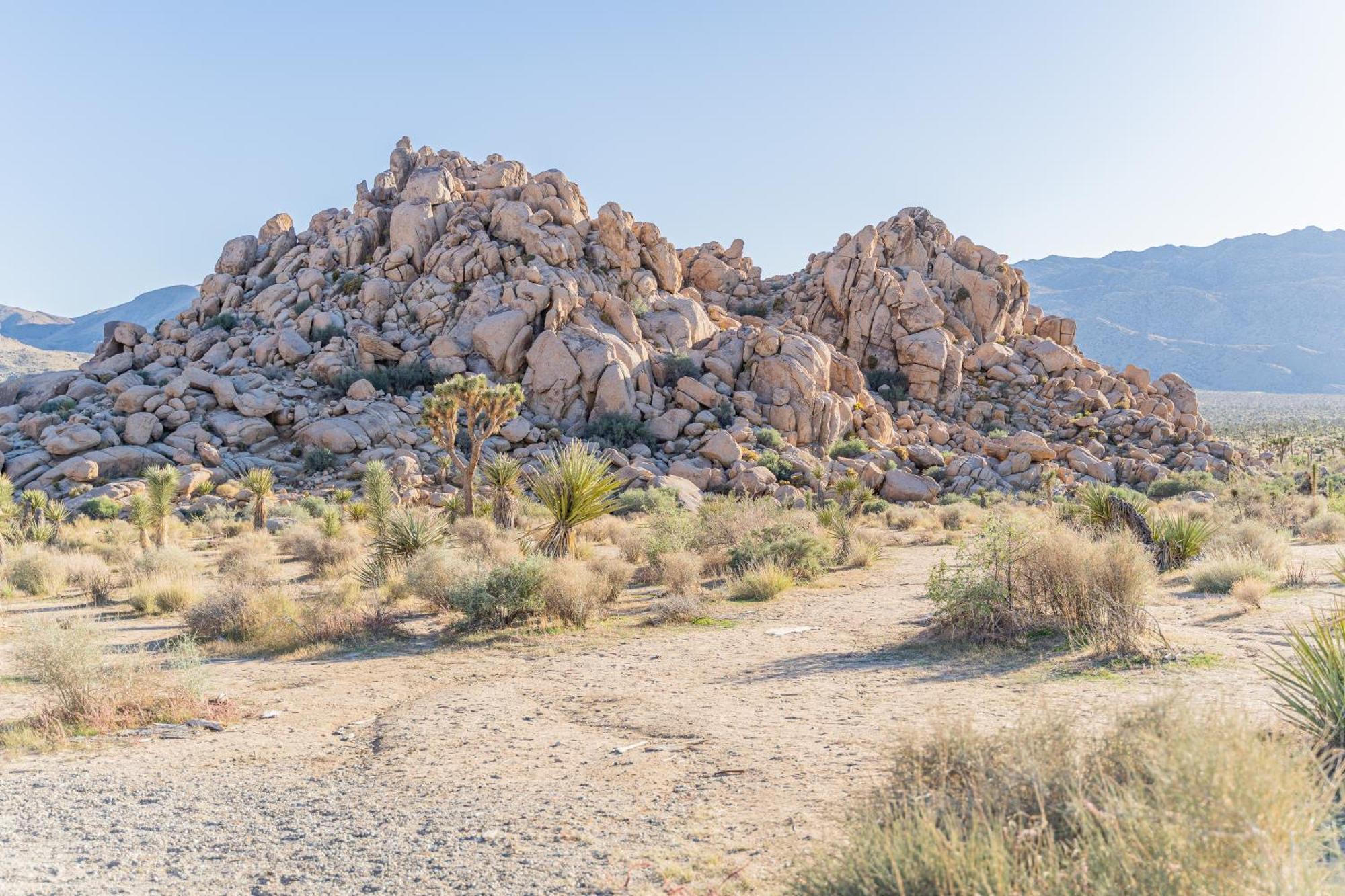 New Property! The Cactus Villas At Joshua Tree National Park - Pool, Hot Tub, Outdoor Shower, Fire Pit Twentynine Palms Exterior foto