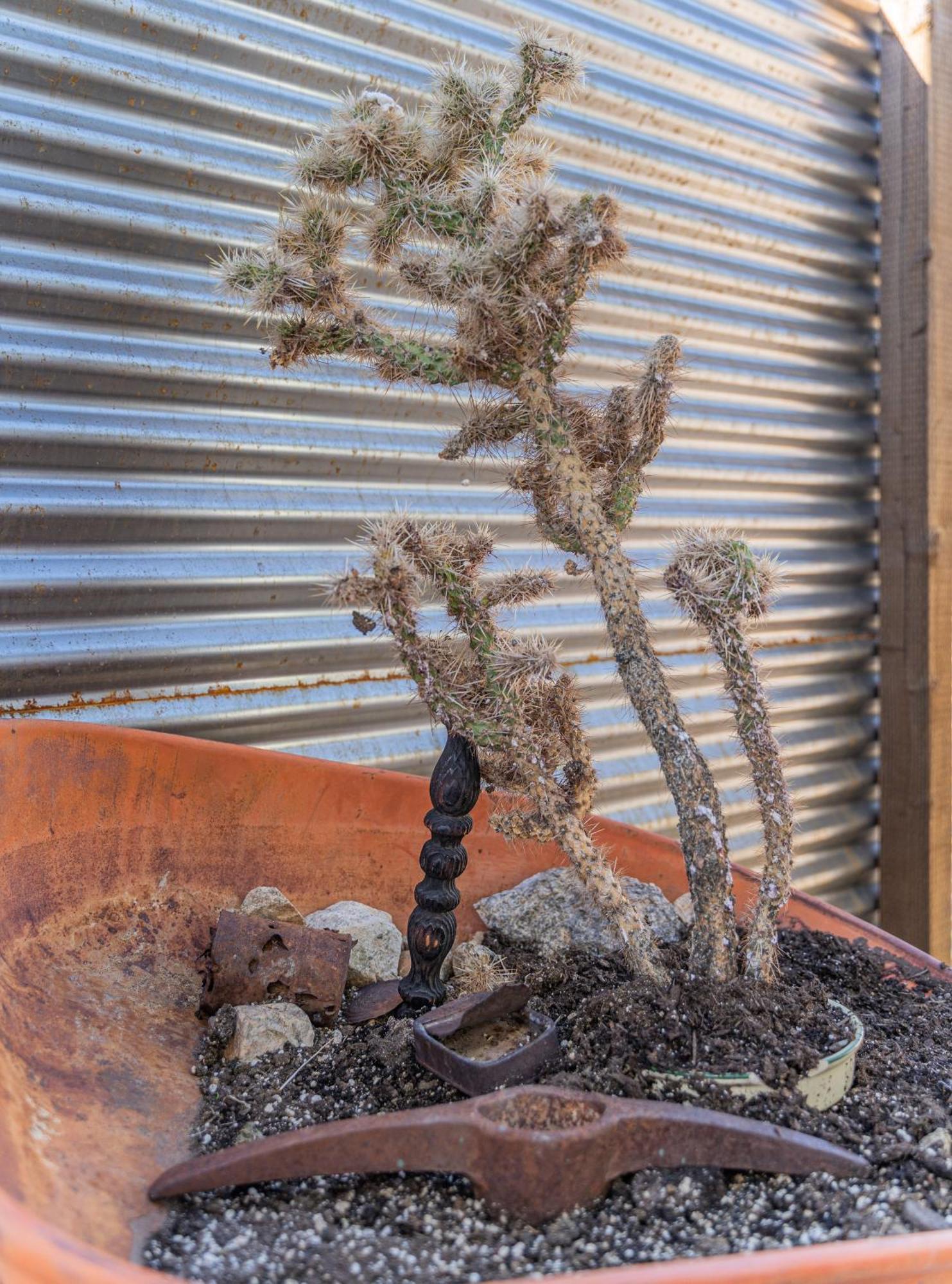 New Property! The Cactus Villas At Joshua Tree National Park - Pool, Hot Tub, Outdoor Shower, Fire Pit Twentynine Palms Cameră foto